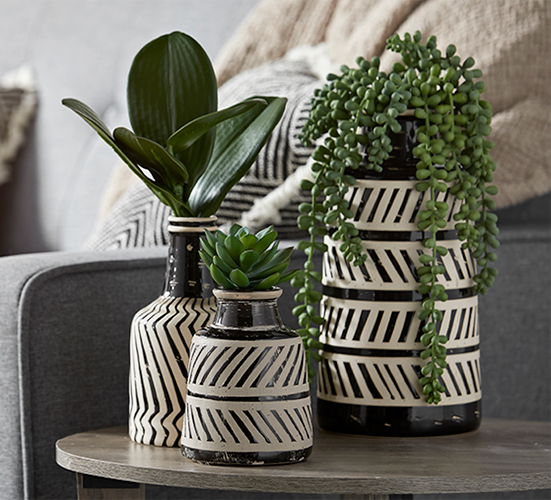 Expanded Collection Of Stylish Decor Available At Select Dollar